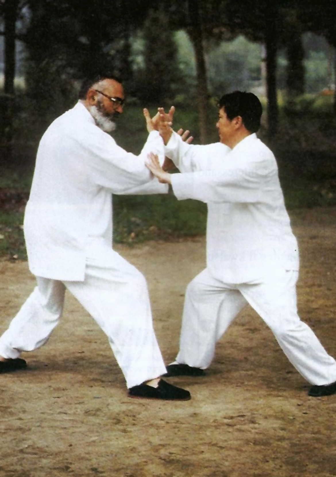 Il Maestro Yang Lin Sheng e il Maestro Franco Mescola durante la pratica del Tui Shou