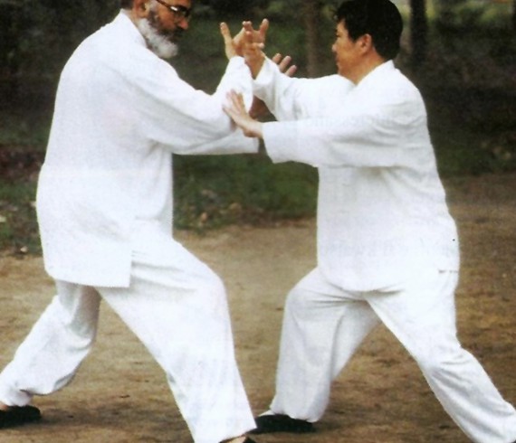 Il Maestro Yang Lin Sheng e il Maestro Franco Mescola durante la pratica del Tui Shou