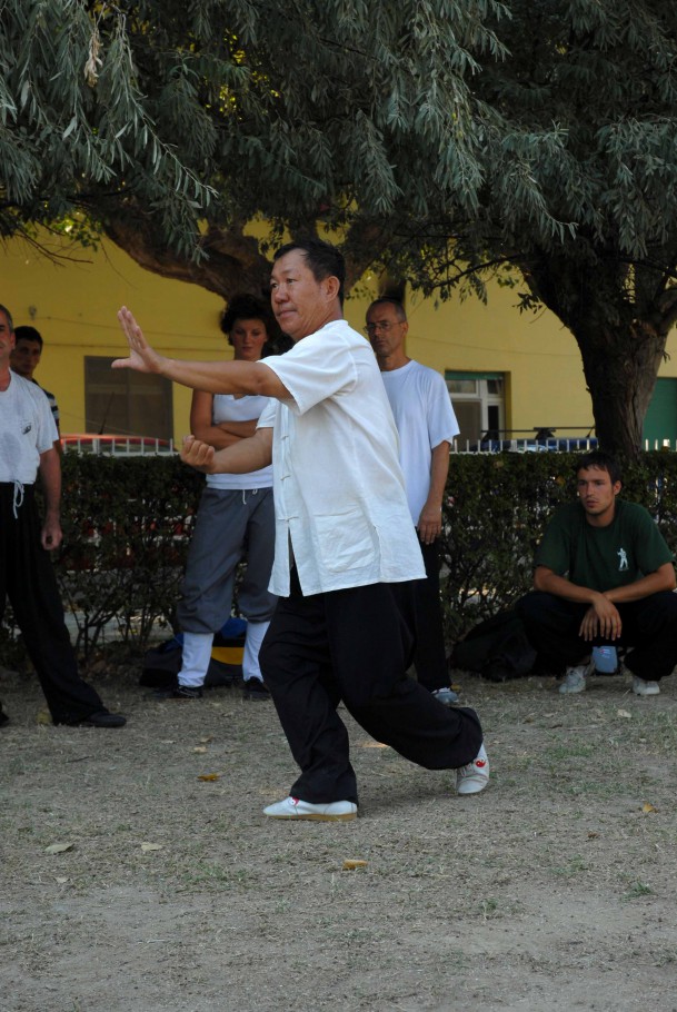 Forma13, movimento 10 - Jin Bu Ban Lan Chui (parare e colpire con il pugno)