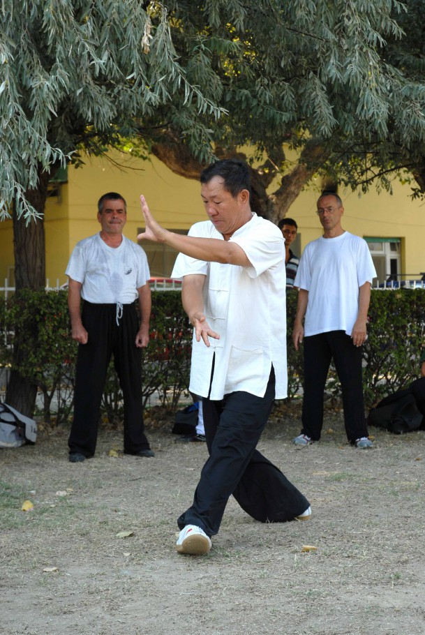 Forma13, movimento 11 - Shang Bu Lan Que Wei (afferrare la coda del passero)