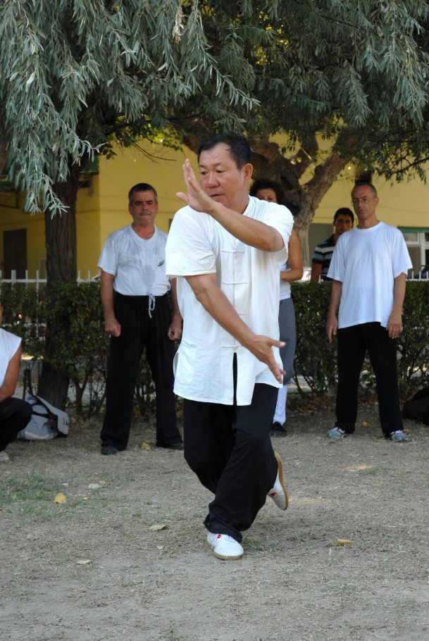 Forma13, movimento 11 - Shang Bu Lan Que Wei (afferrare la coda del passero)